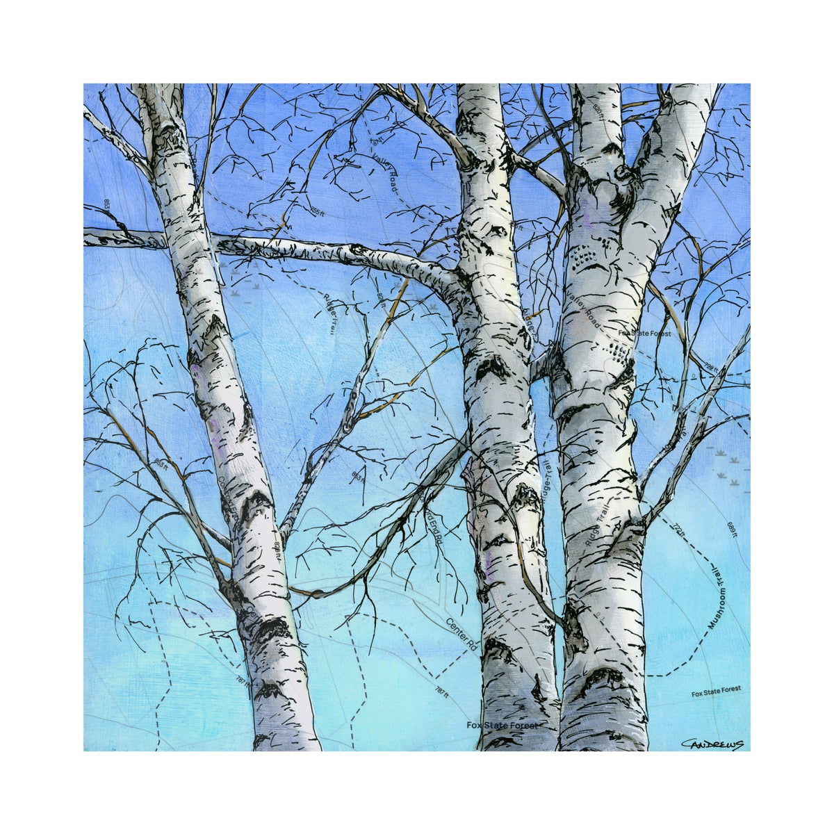 Three Birches Print