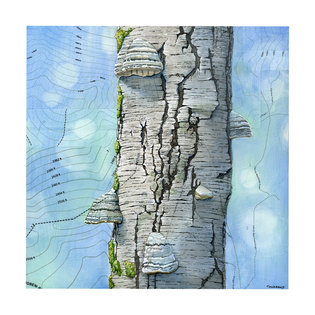 Tinderhoof Print