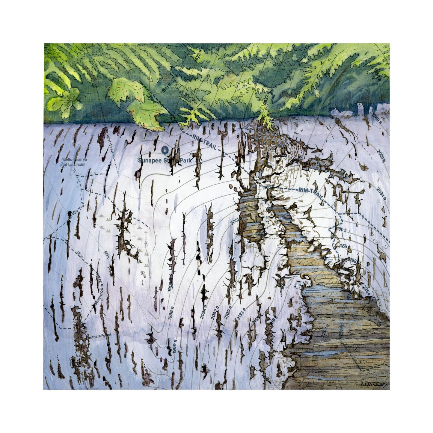 Fern Bed Print