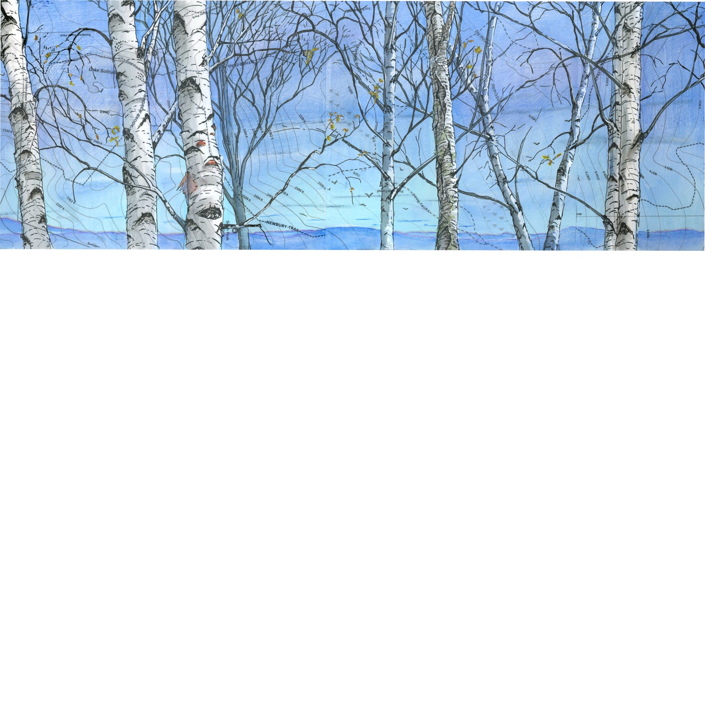Birch Overlook