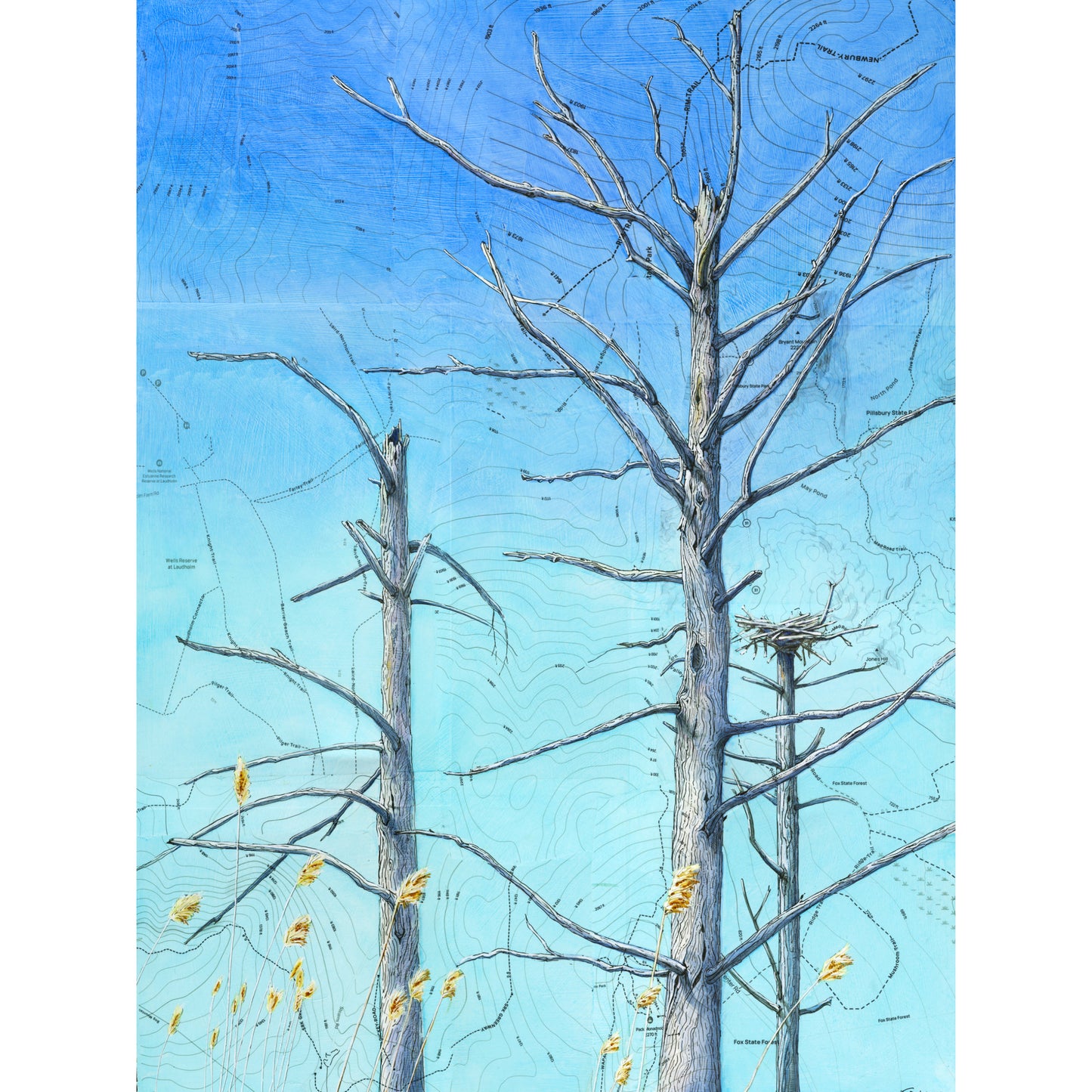 The Nesting Snag