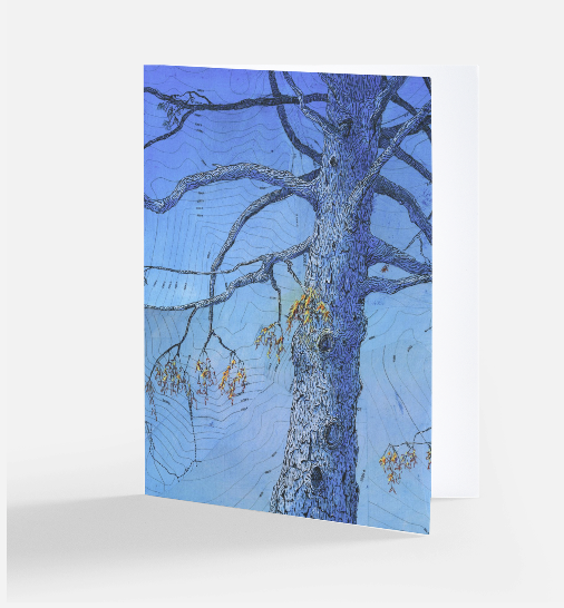 Tangled and Blue Blank Notecard