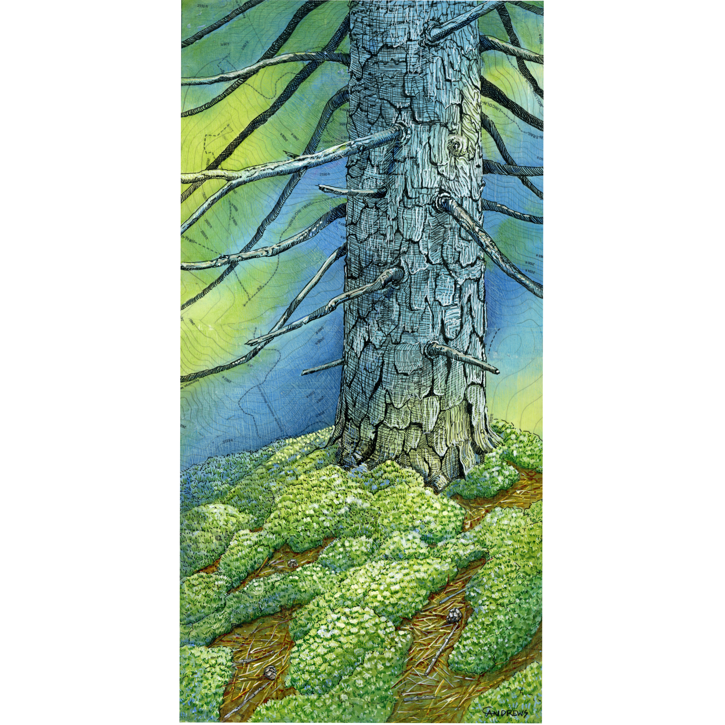 Under the Hemlock