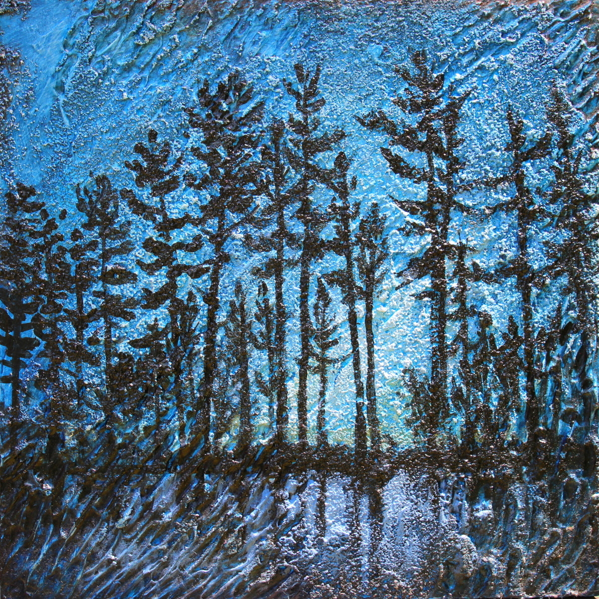 Pine in Early Morning