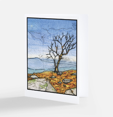 Notecard 5-Pack: NH Landscapes Assortment II