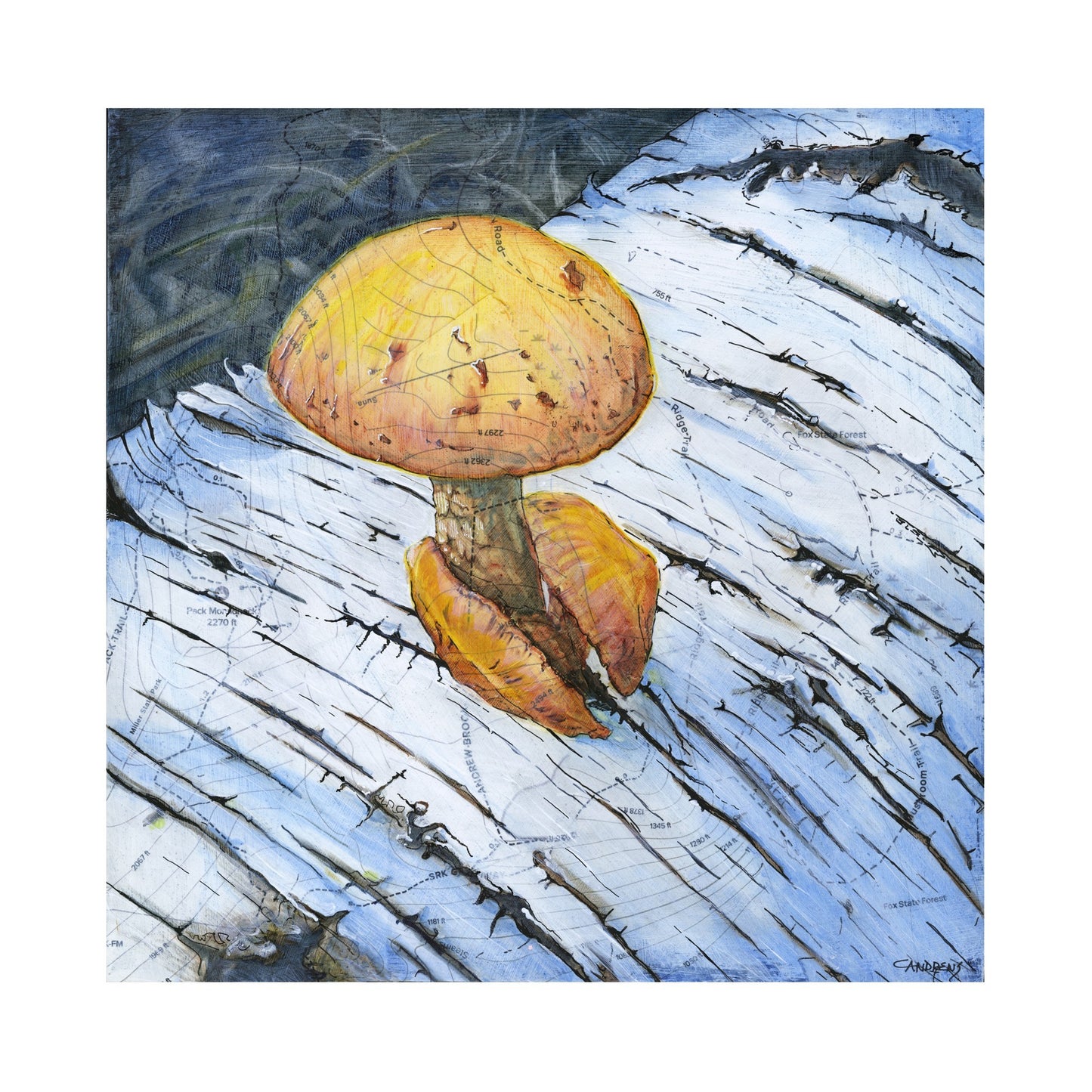 Returning Print
