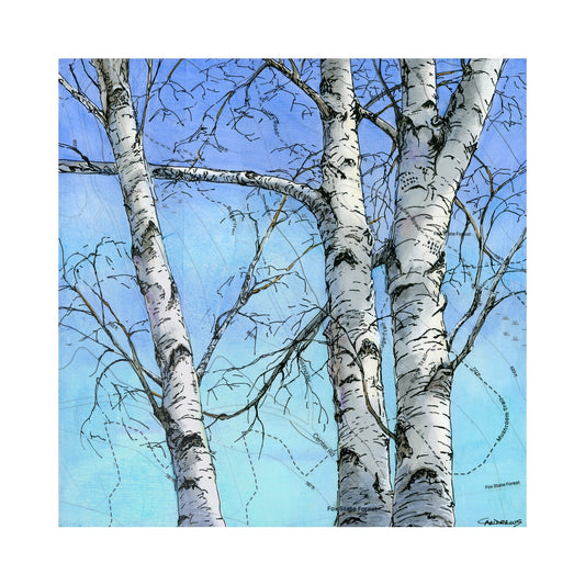 Three Birches Print