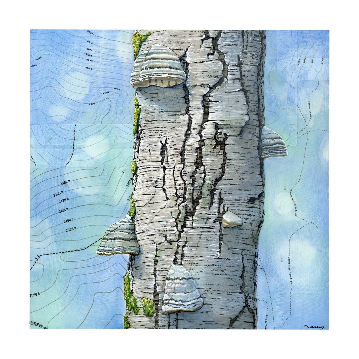 Tinderhoof Print