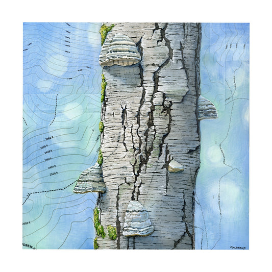 Tinderhoof Print
