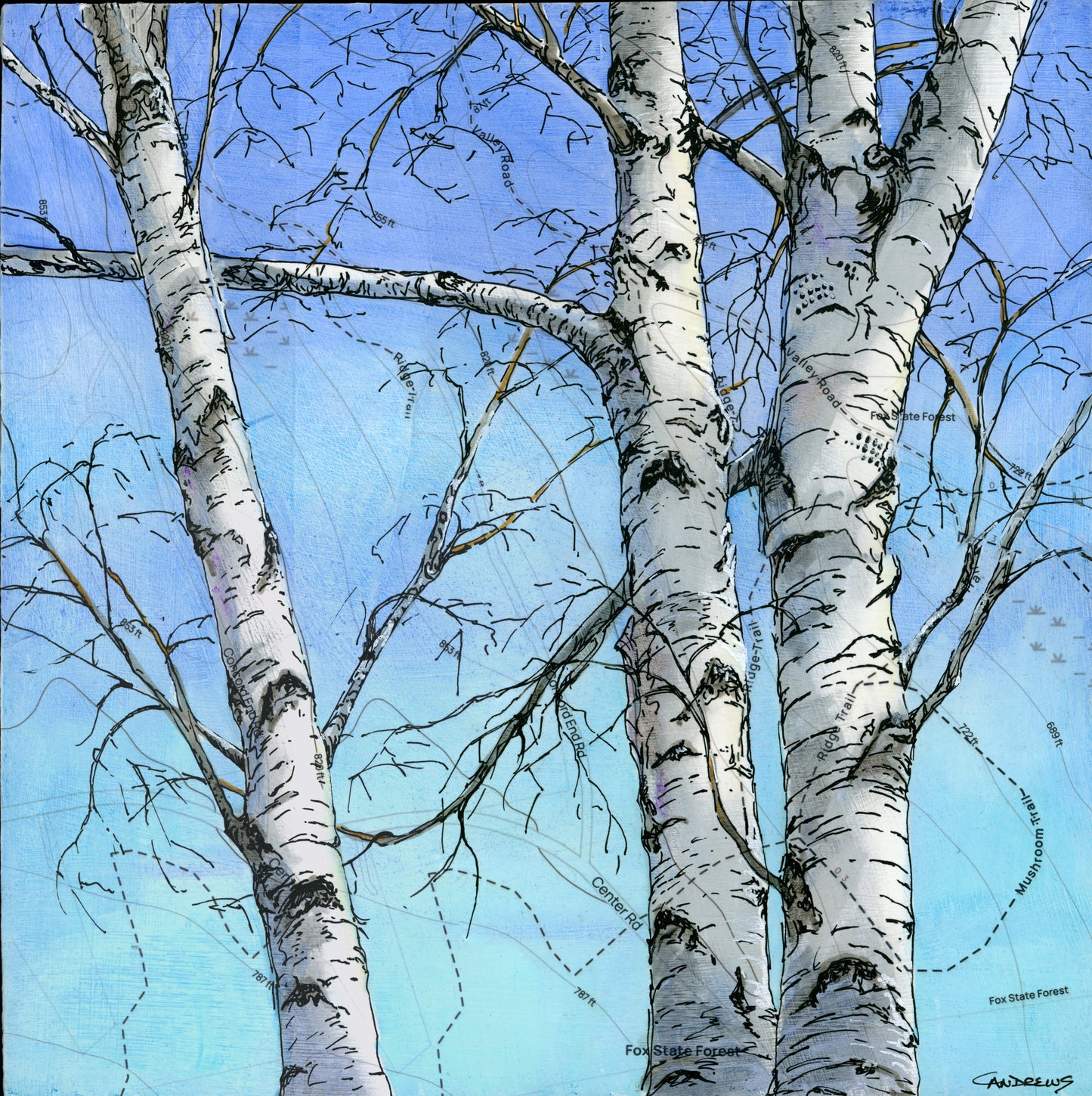Three Birches