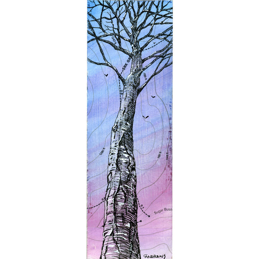 Black Birch
