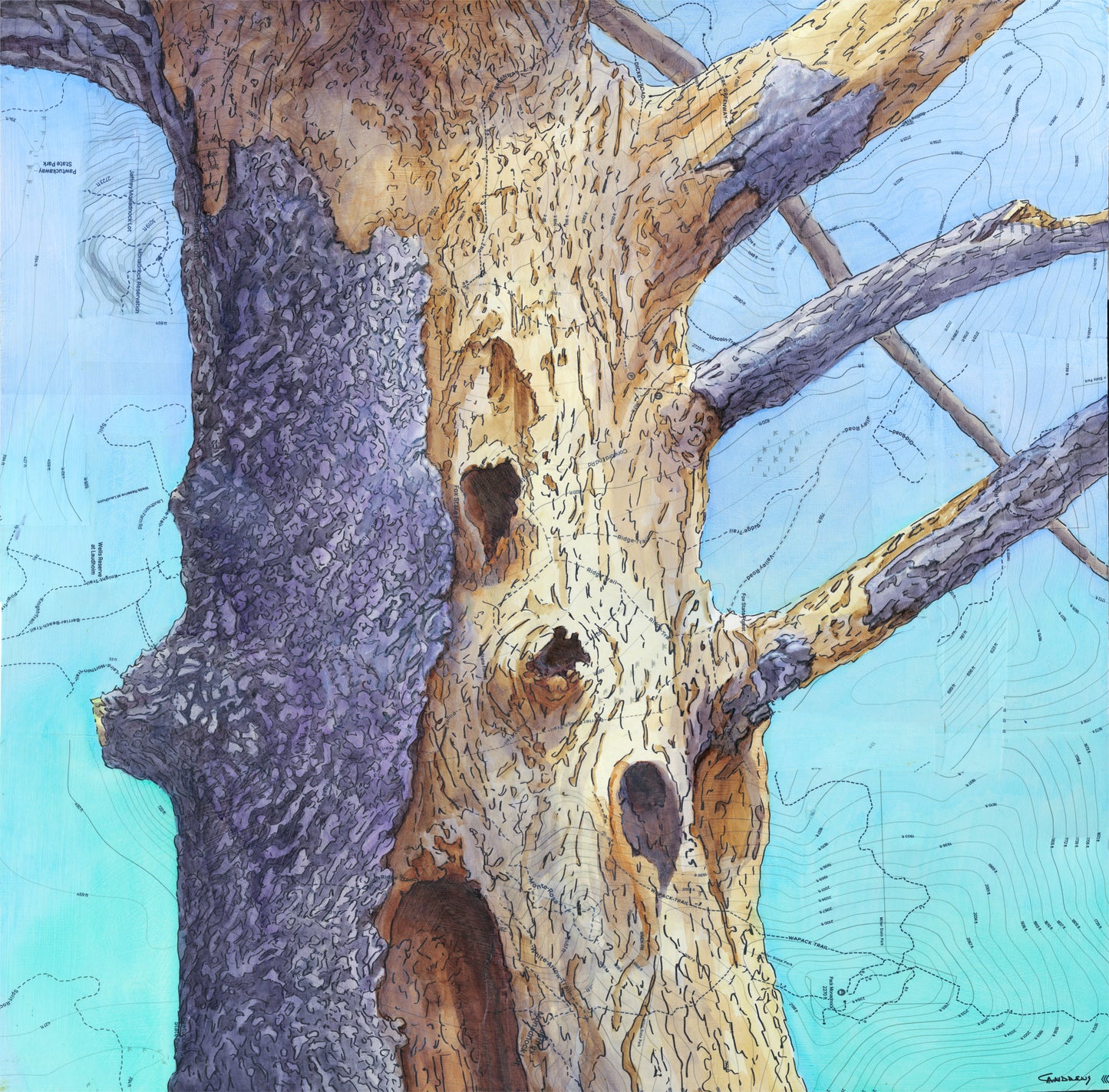 Cavity Tree