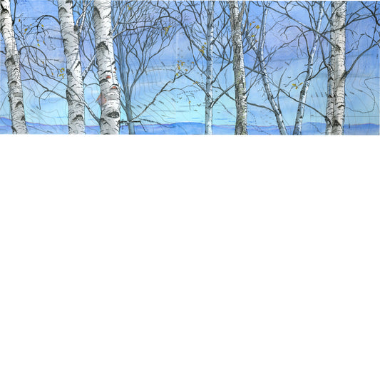 Birch Overlook