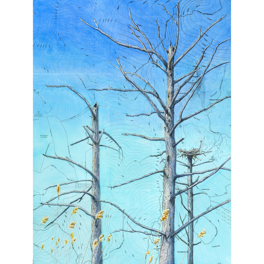 The Nesting Snag