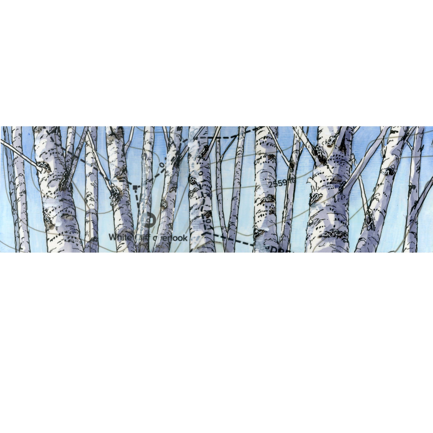 Birch Landscape