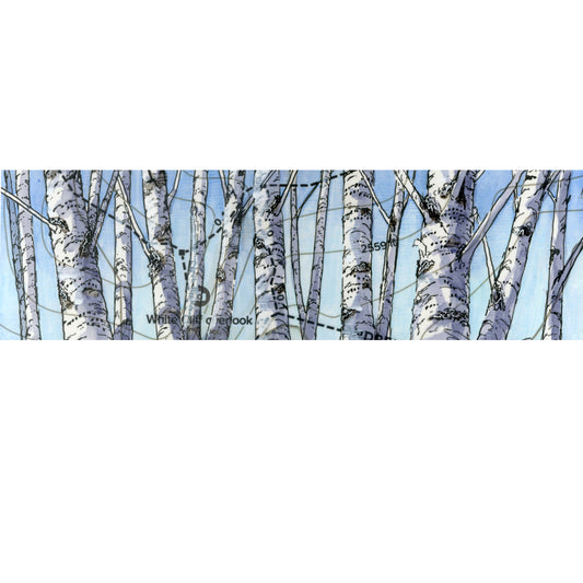 Birch Landscape