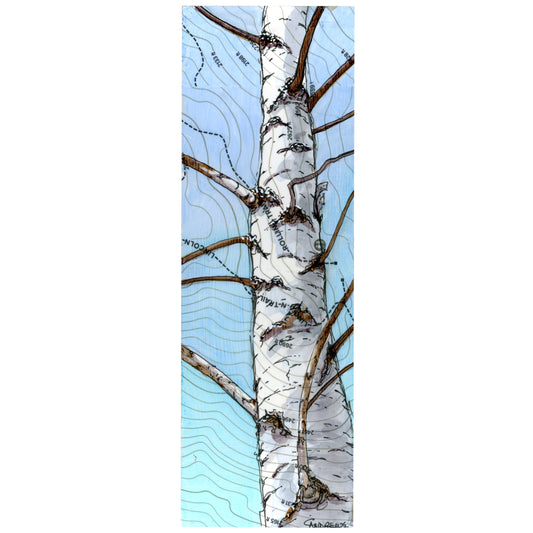 Rollins Birch