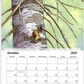 2027 Fine Art Wall Calendar