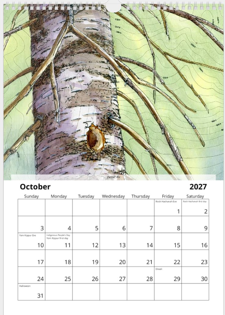 2027 Fine Art Wall Calendar