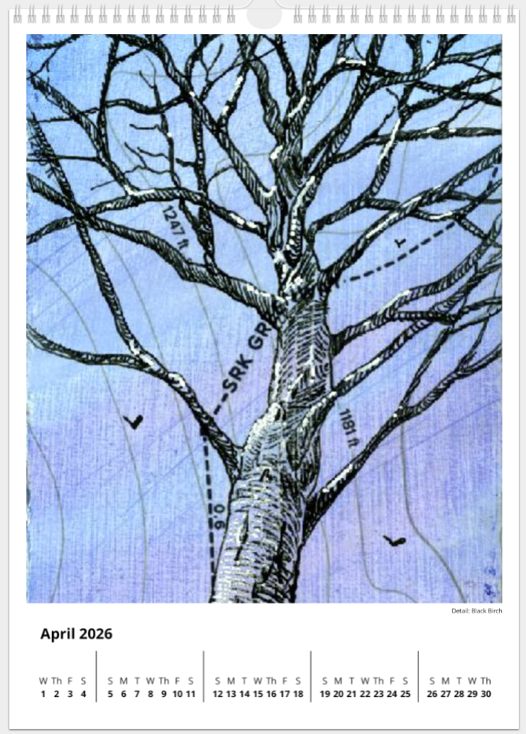 2026 Fine Art Wall Calendar