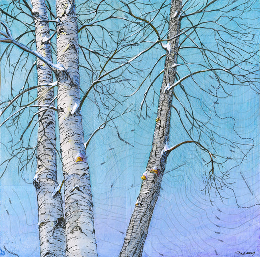 Birches Print