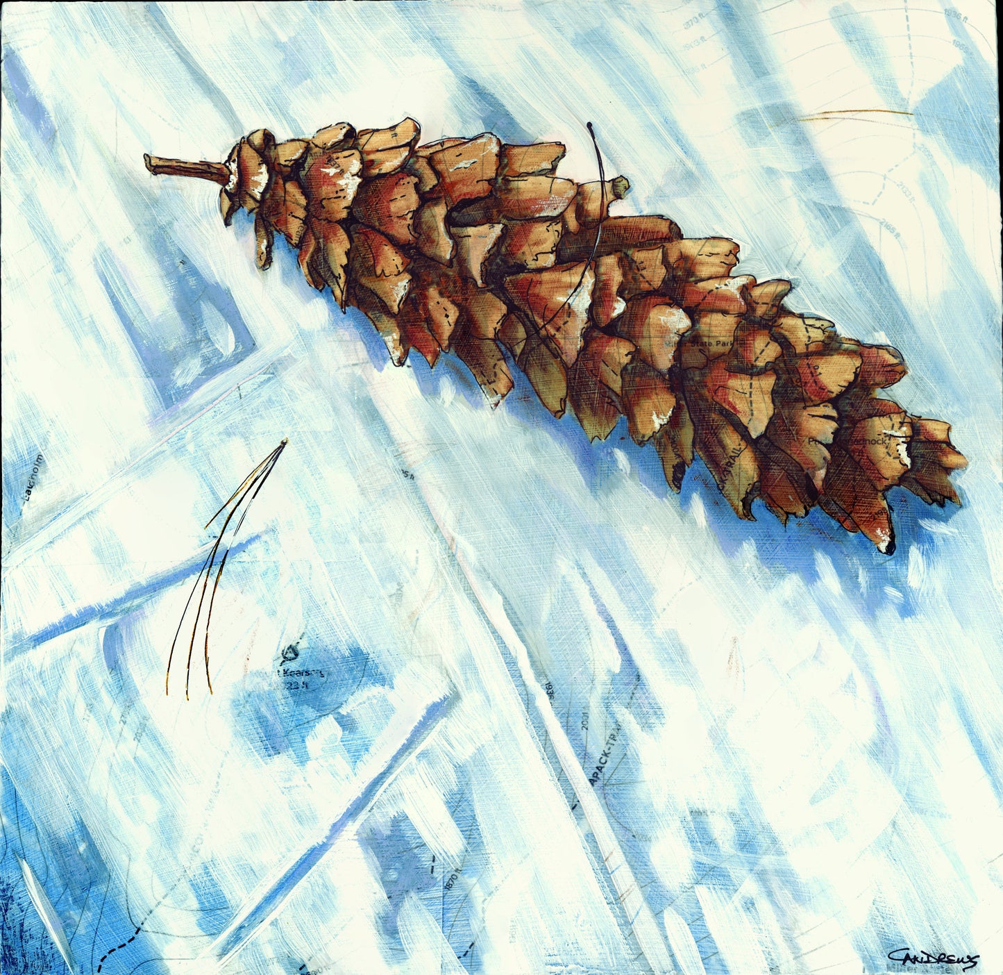 Trail Cone