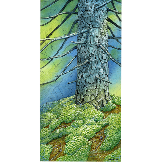 Under the Hemlock