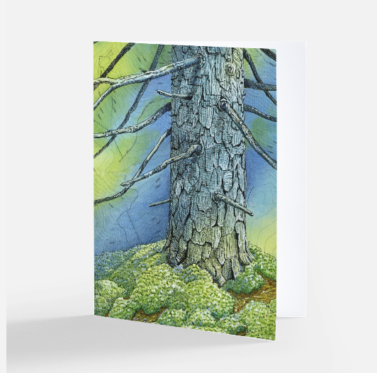 Under the Hemlock Blank Notecard