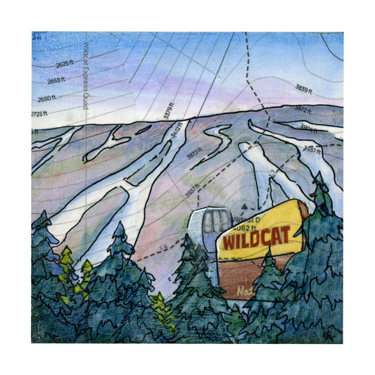 Wildcat