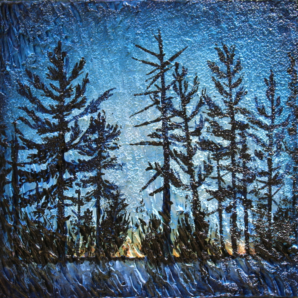 Pines in Early Eve